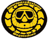 ISC ( InnerSpace Systems Corp )